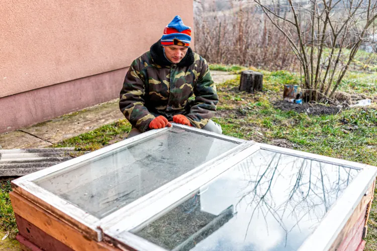 Man sitting working on diy project construction closeup of vegetable winter garden for raised bed cold frame box in Ukraine dacha by farm house
