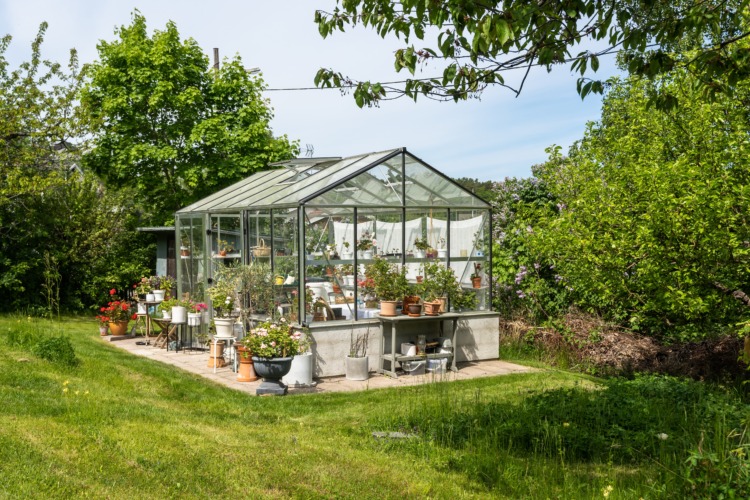 Beautiful greenhouse glass house in the garden yard near the villa. There are lots of pots with blooming blossom colorful flowers