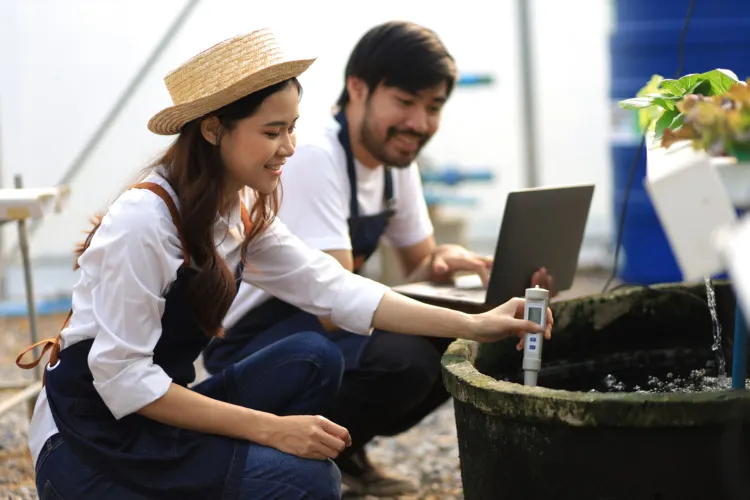 Modern farmer working in a hydroponics greenhouse uses laptop to control various systems in the greenhouse for healthy plant growth. Modern agricultural technology for analyzing plant growth