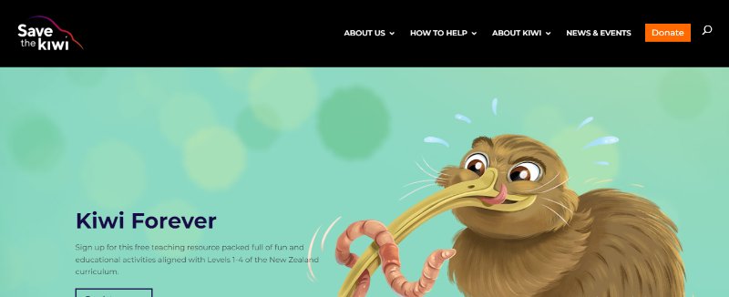 Kiwisforkiwi webpage