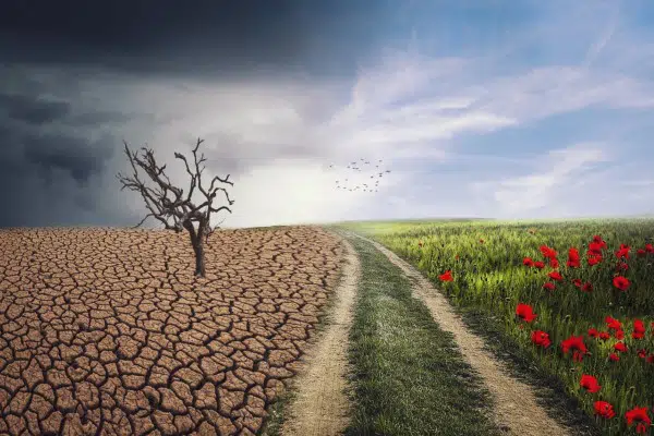 10 Ways to Help the Environment in Everyday Life 3 protecting the environment