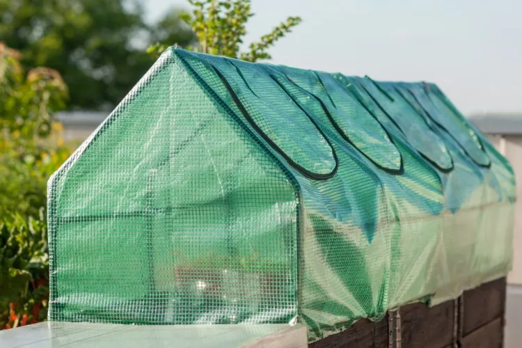 Mini greenhouse for home. Frame collapsible mini greenhouses installed in vegetable garden. Hotbed green film with opening holes