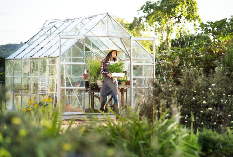 Young woman in the glass greenhouse