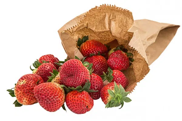Are Brown Paper Bags Compostable? 3 small grocery brown bags