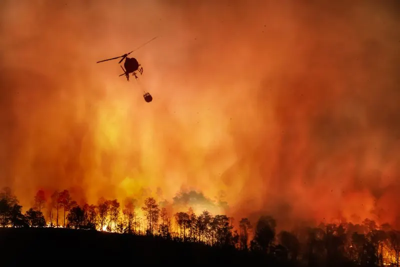 How Does War Affect Animals? 4 Fire fighting helicopter carry water bucket to extinguish the forest fire