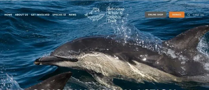 Hebriden Whale & Dolphin Trust Webpage