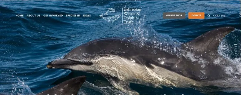 The Hebridean Whale and Dolphin Trust 1 Hebriden Whale & Dolphin Trust Webpage