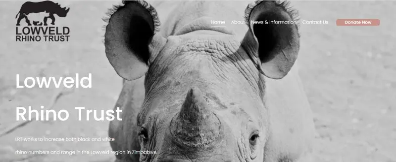 Lowveld Rhino Trust 1 Lowveld Rhino Trust Webpage