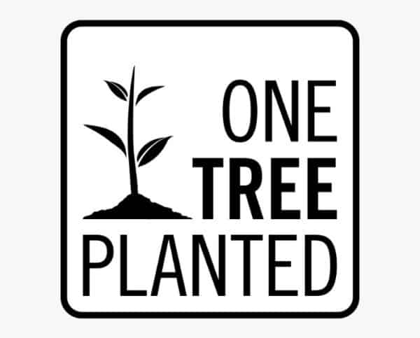 One tree planted