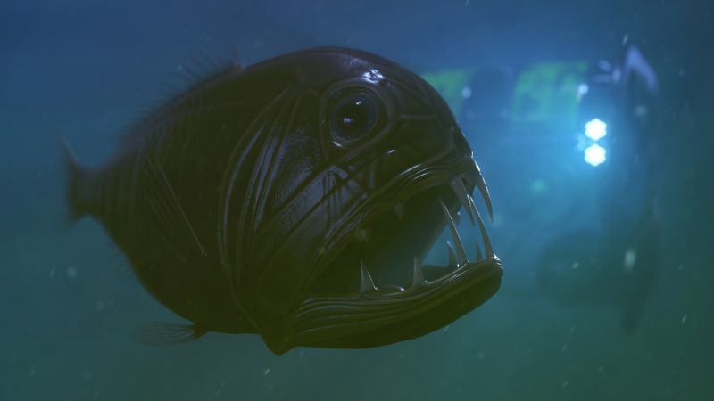 Viperfish Underwater