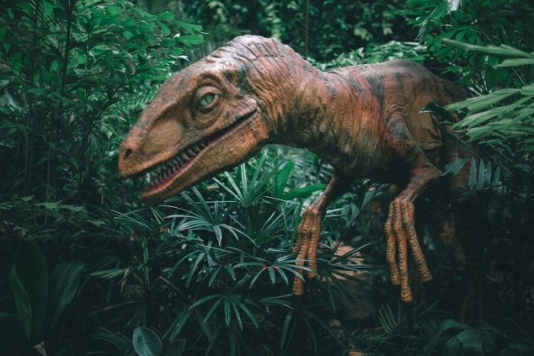Why Were Animals So Big in the Past? Here Are 6 Reasons Why Were Animals So Big in the Past? Here Are 6 Reasons