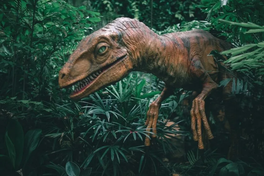 A Dinosaur