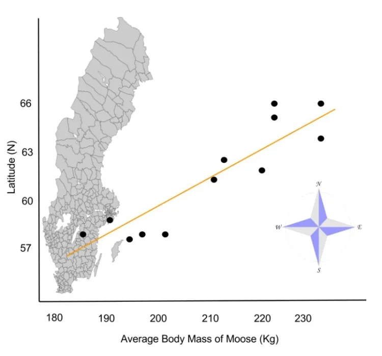 Why Were Animals So Big in the Past? Here Are 6 Reasons 4 A graph of Bergmanns rule