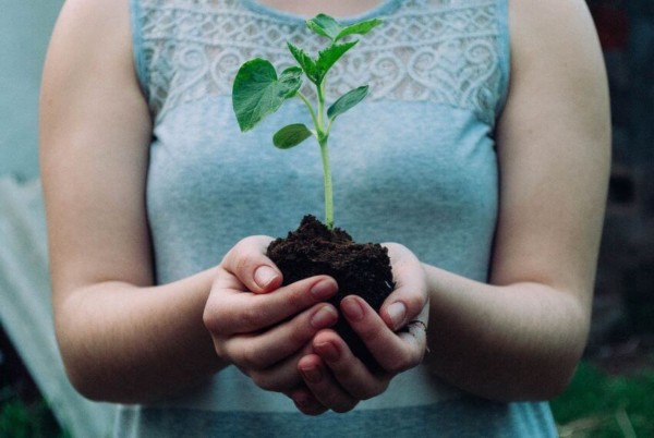 Holding a Plant