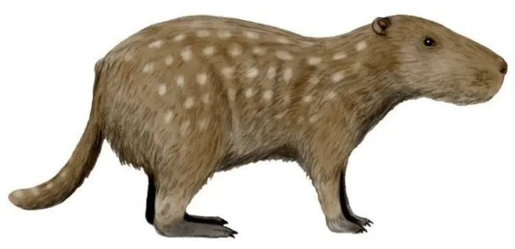Why Were Animals So Big in the Past? Here Are 6 Reasons Why Were Animals So Big in the Past? Here Are 6 Reasons
