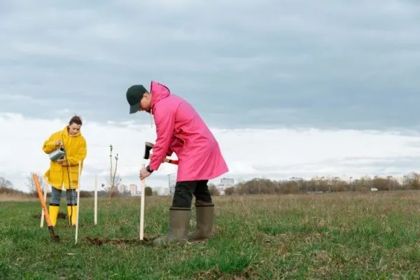 Planting Trees