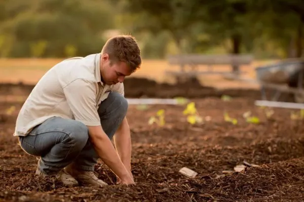 14 Environmental Organizations in Massachusetts 2 Planting