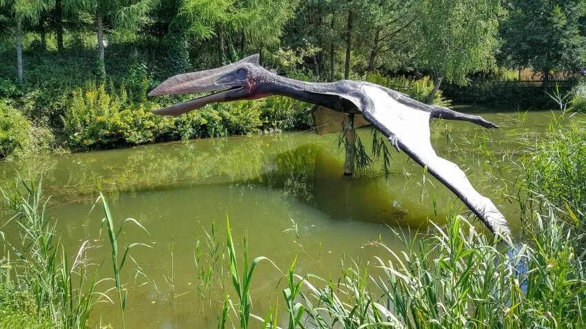 Why Were Animals So Big in the Past? Here Are 6 Reasons 9 Pterosaurs