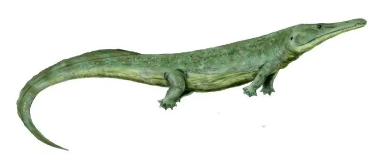 The Prionosuchus