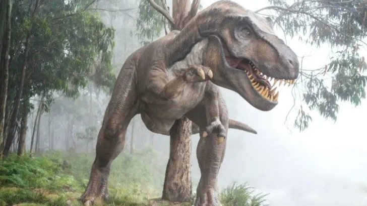 Why Were Animals So Big in the Past?