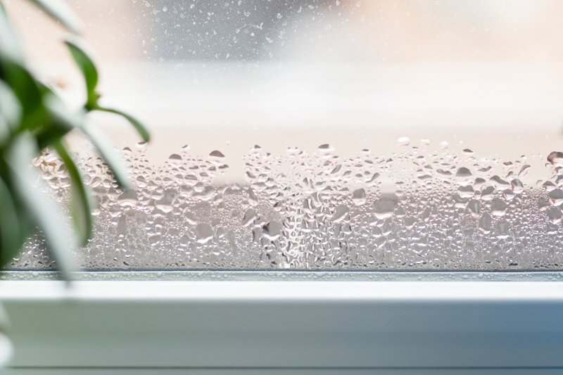 Water droplets on window glass