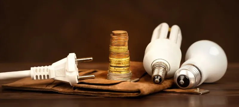 How to Make a Mobile Home More Energy Efficient 6 Electrical plug and light bulbs with a wallet and euro money coins