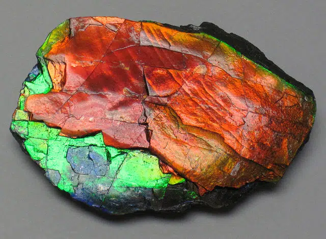 10 Most Ethical Gemstones: Is Mining Ethically Possible? 8 Ammolite from Alberta