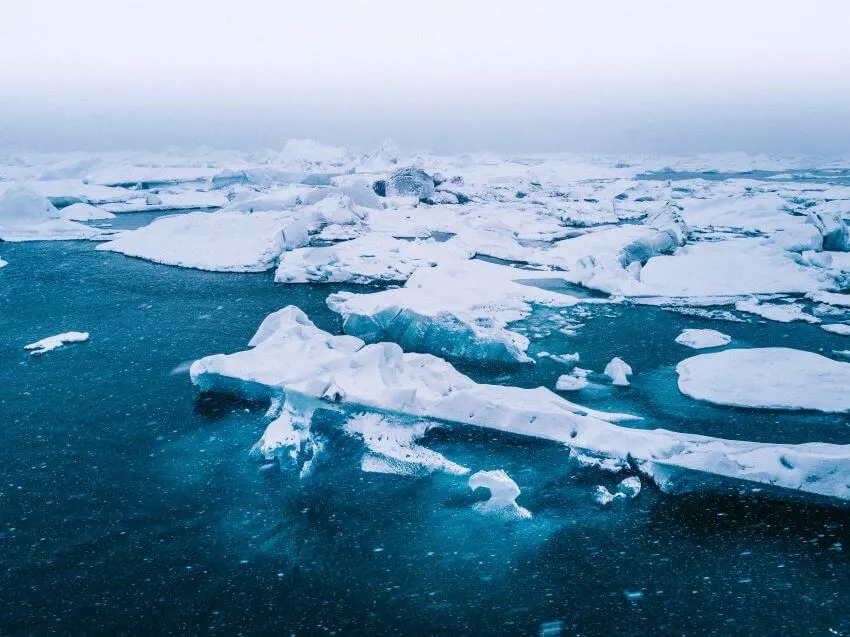 16 Different Types of Habitats Around the World 1 Artic Full of Iceberg
