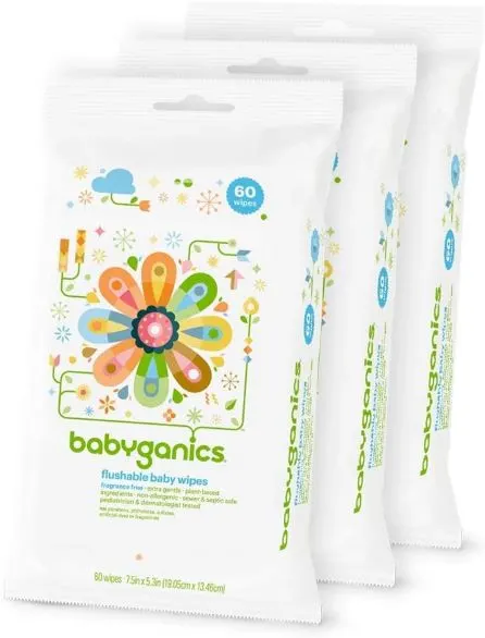 11 Best Biodegradable Baby Wipes in 2023 5 Babyganics