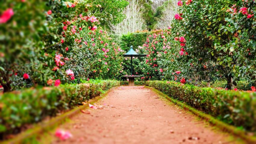 14 Habitat Loss Solutions You Need to Know 14 Beautiful Garden