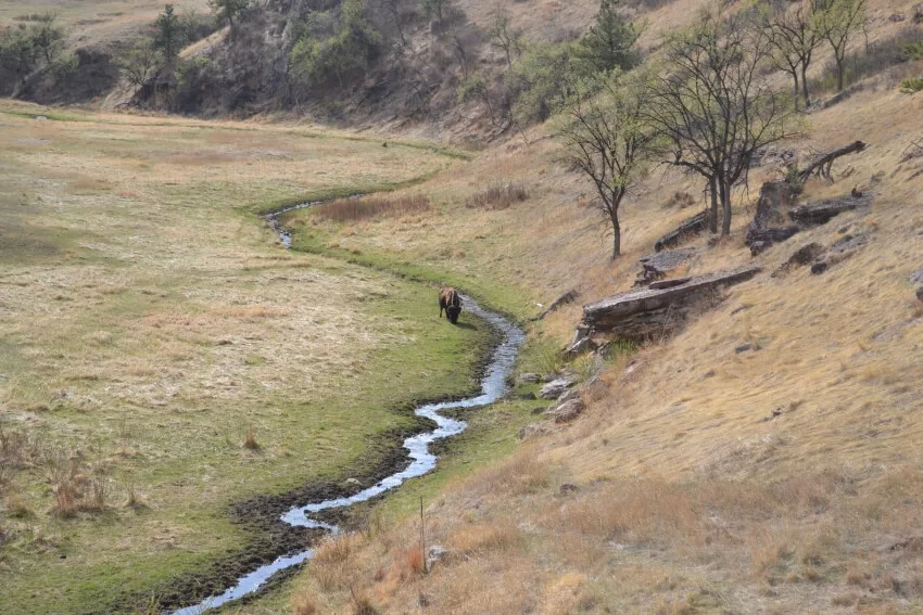 15 Most Polluted Rivers in the United States 7 Buffalo National River