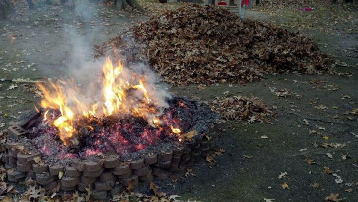 Is Burning Leaves Bad for the Environment?