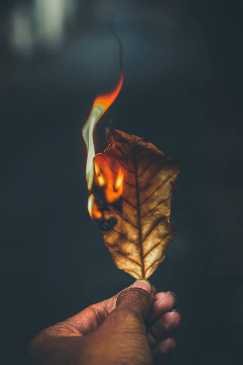 Burning Leaf