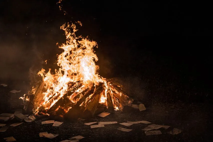 Burning Wood and Books