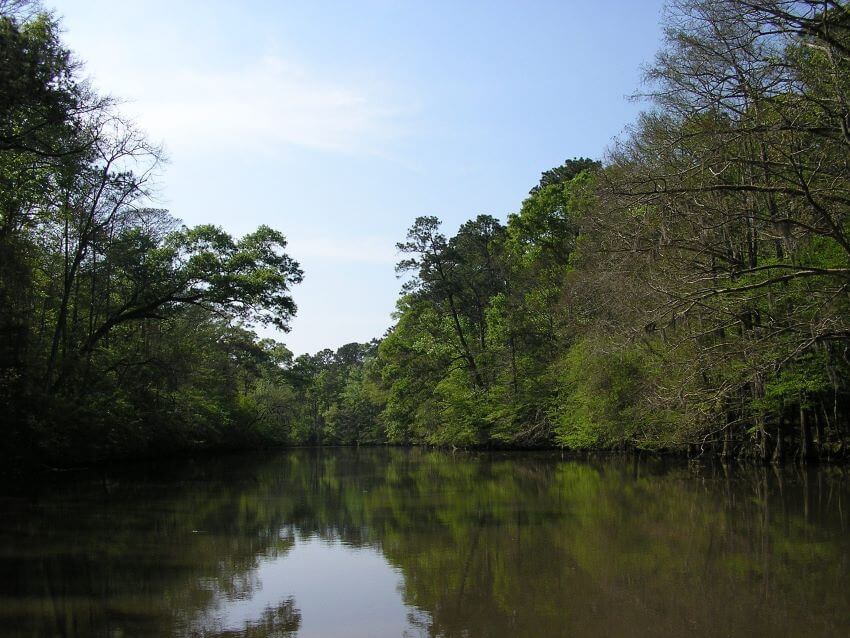 Calcasieu River