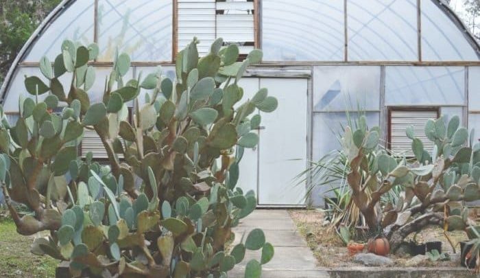 Best Lean To Greenhouses