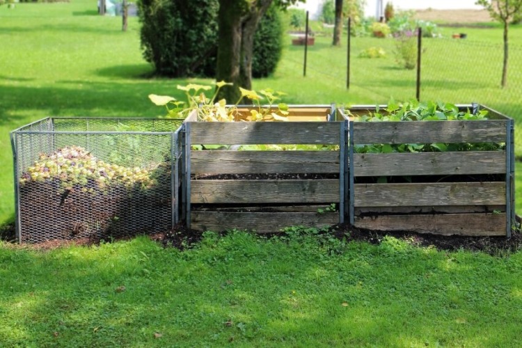 Wooden box with plants in garden