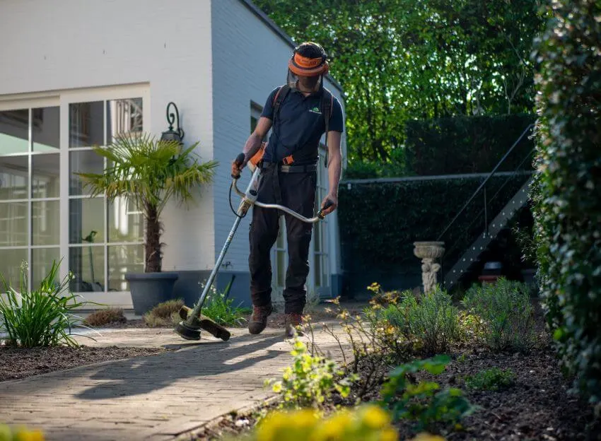 Cutting Grass