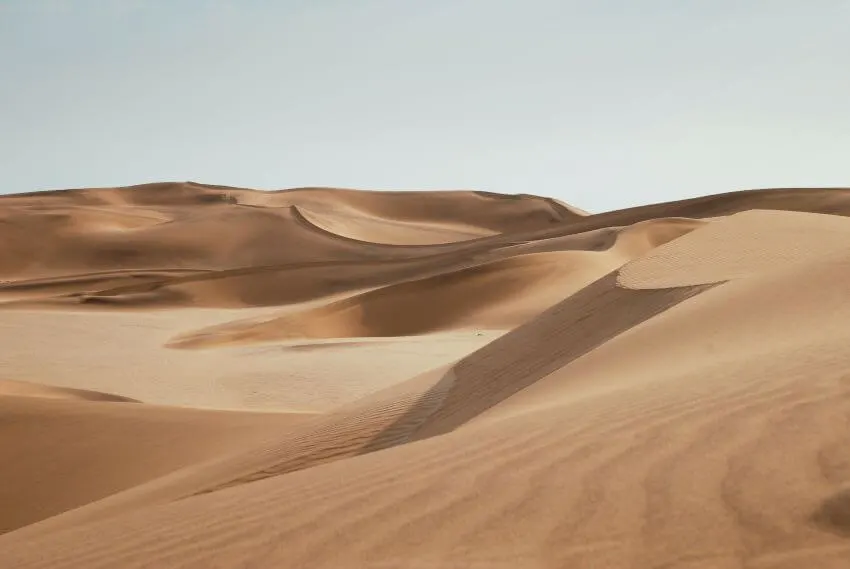 16 Different Types of Habitats Around the World 4 Desert Sand Dune