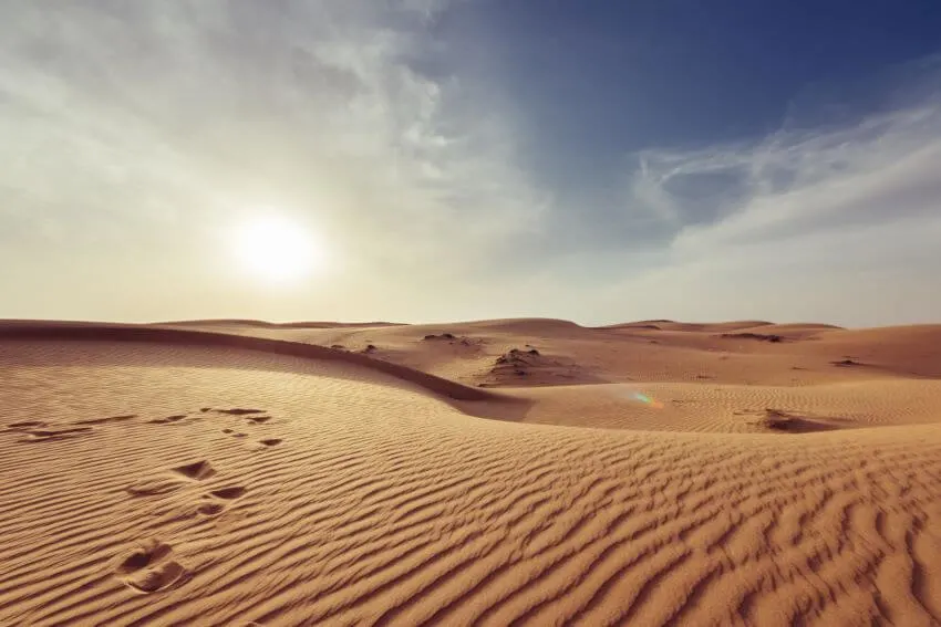 13 Interesting Examples of Habitats 4 Desert
