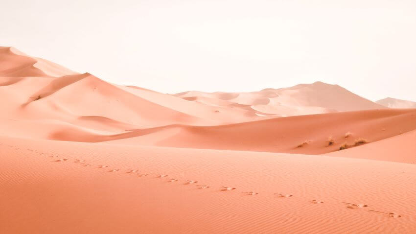 Deserts with Camel Footprints