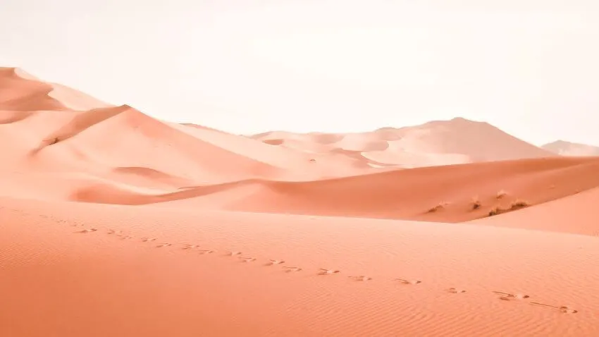 13 Interesting Examples of Habitats 5 Deserts with Camel Footprints