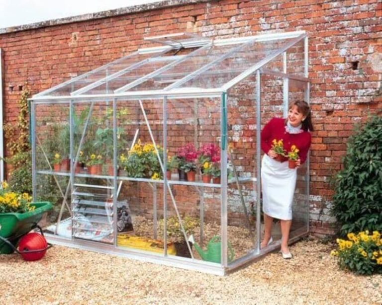 21 Best Lean To Greenhouses Side of House Options