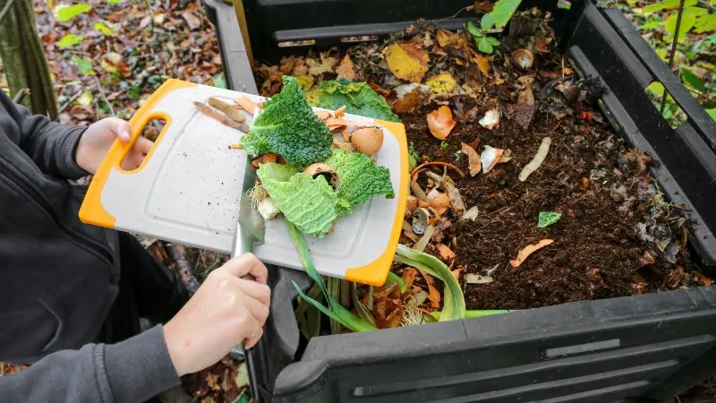 Person throwing food waste inside composter