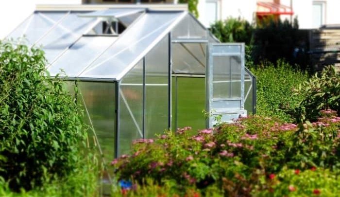 Best Glass Greenhouses