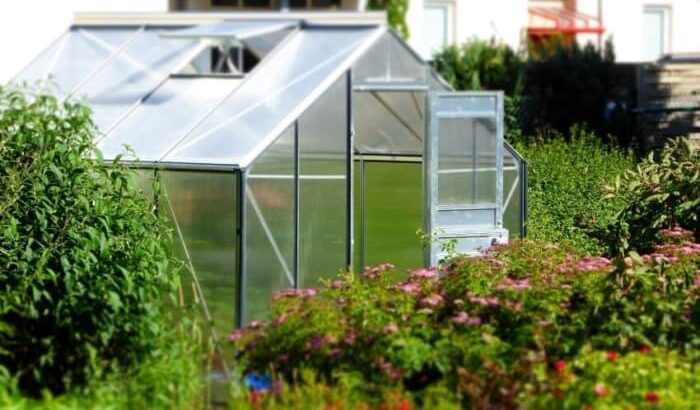 16 Best Glass Greenhouses for Sustainable Living 9 16 Best Glass Greenhouses for Sustainable Living