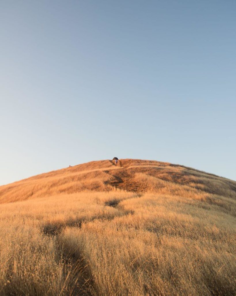 11 Different Types of Ecosystems Around the World 6 Grassland Sceneries