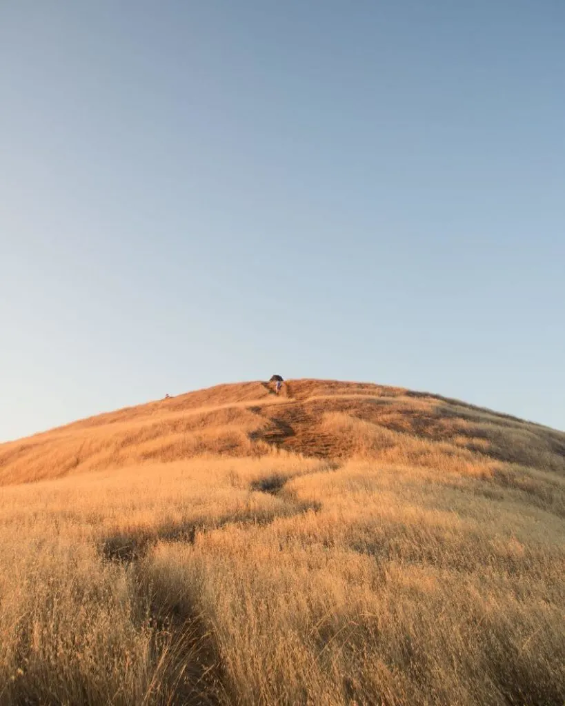 Grassland Sceneries