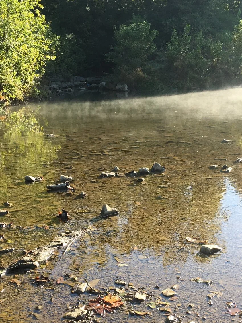 15 Most Polluted Rivers in the United States 4 Harpeth River