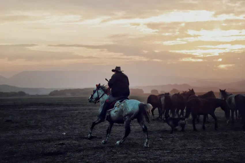 11 Different Types of Ecosystems Around the World 6 Herding at Steppes